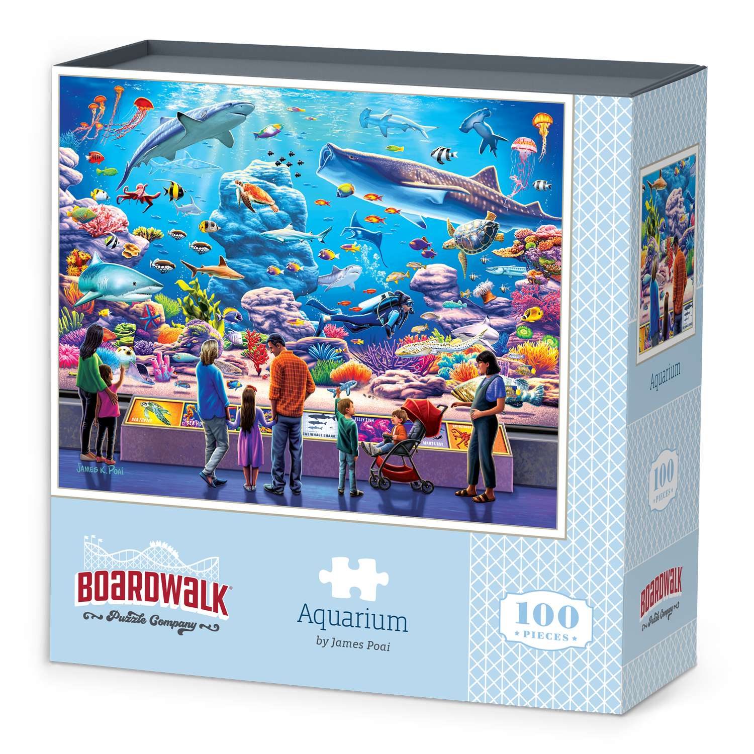 Aquarium | 100 Piece