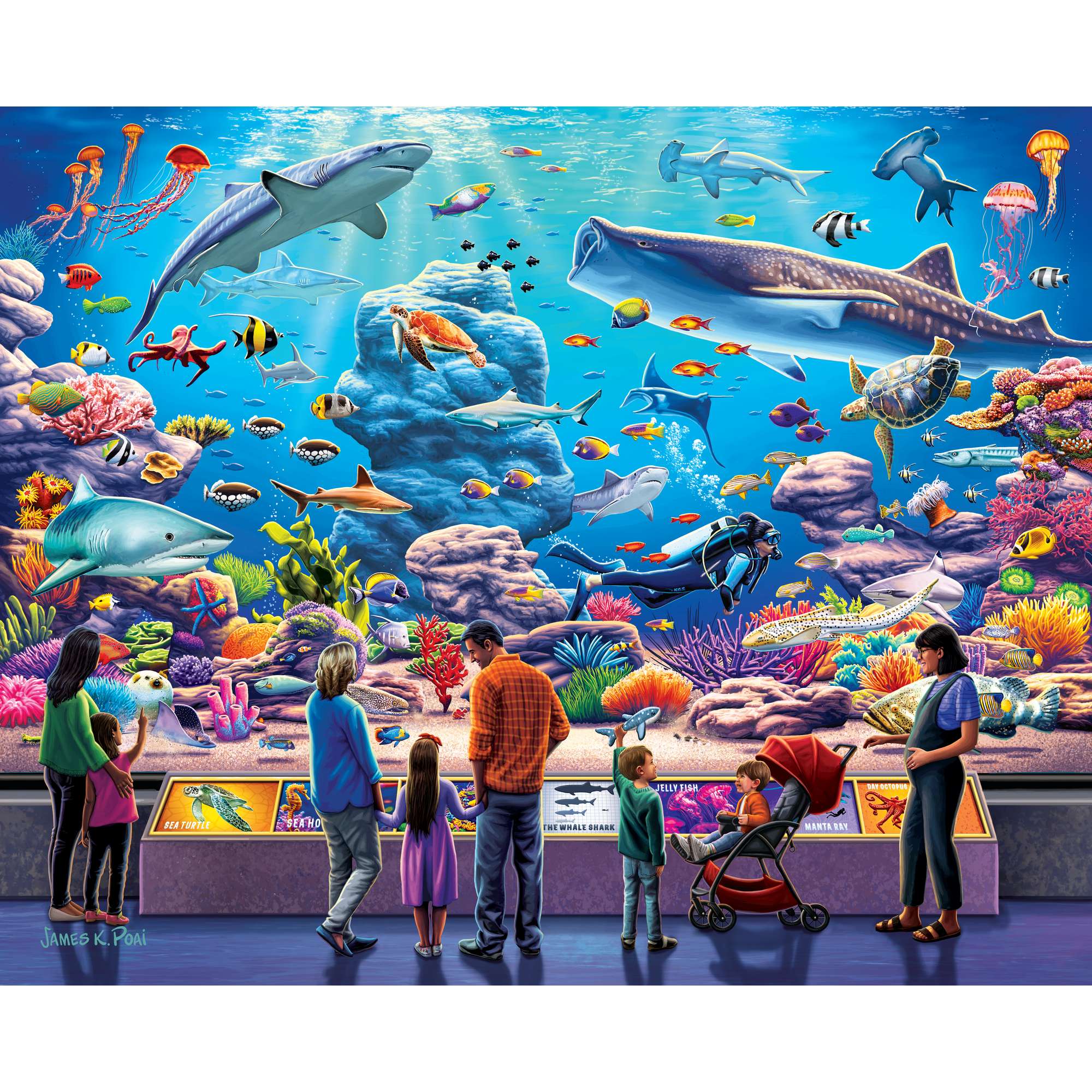 Aquarium | 100 Piece