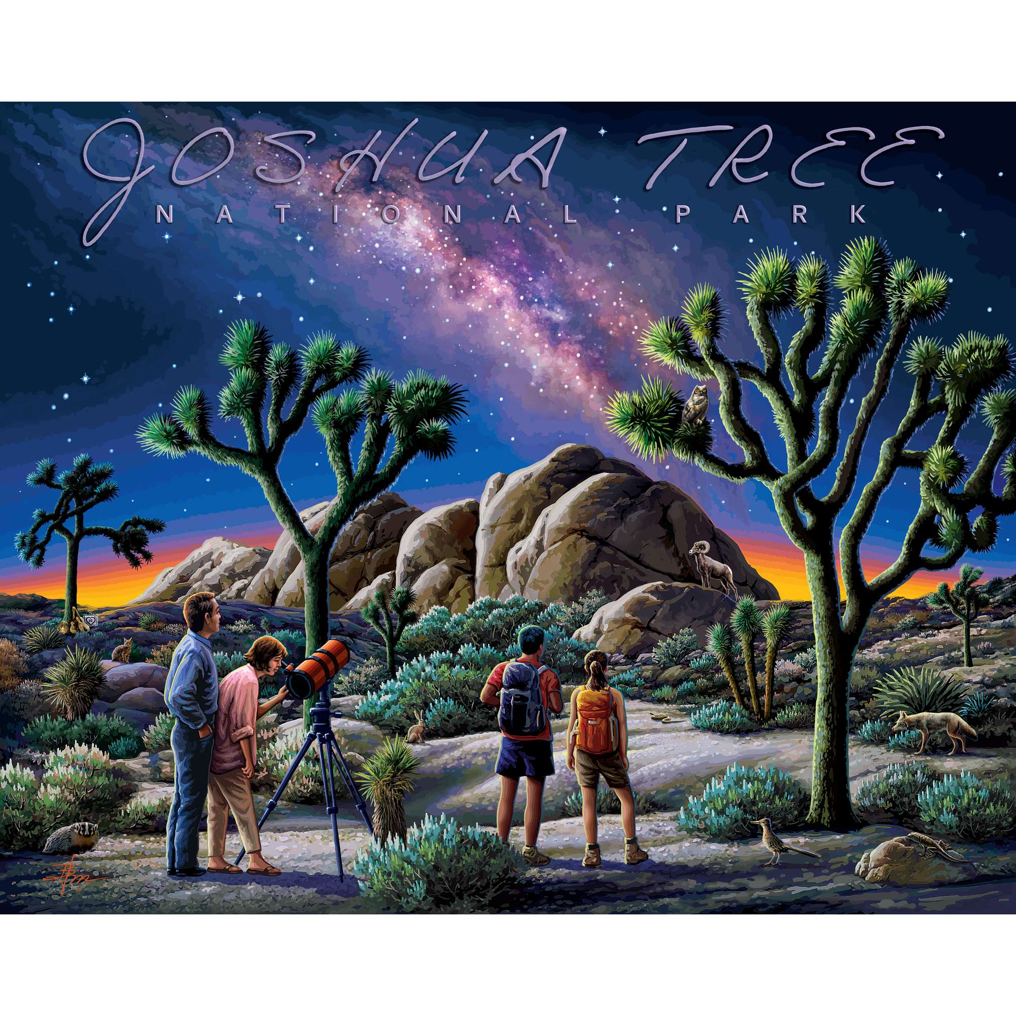 Joshua Tree National Park | 500 Piece