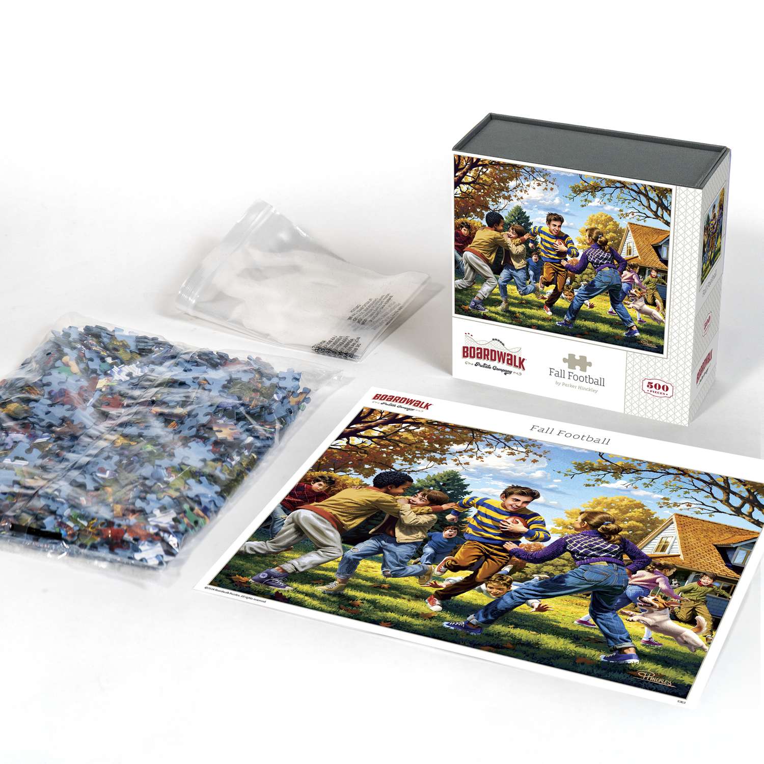 Fall Football | 500 Piece